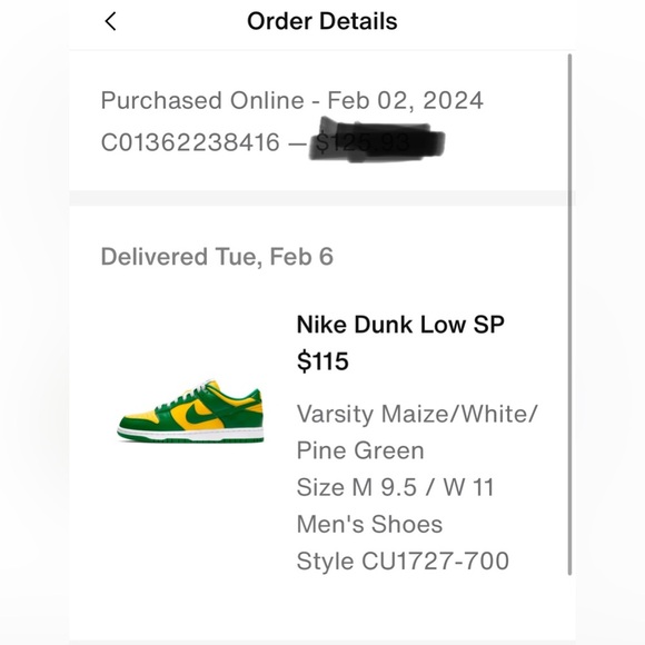 NWT Nike Dunk Low Brazil - Size 9.5 Men - Picture 11 of 11